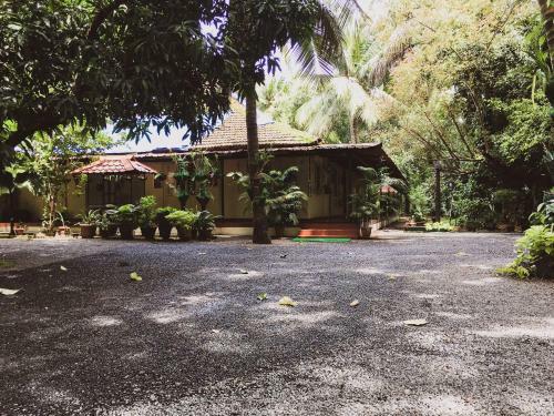 Bed & Breakfast Palm Grove Service Villa