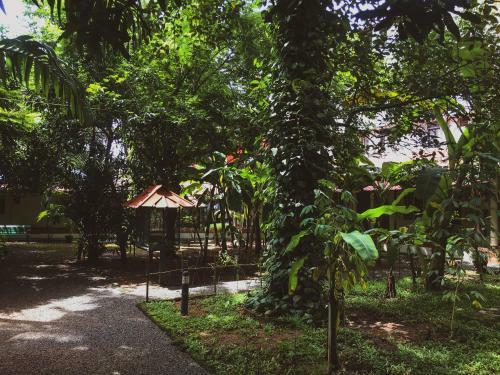Bed & Breakfast Palm Grove Service Villa