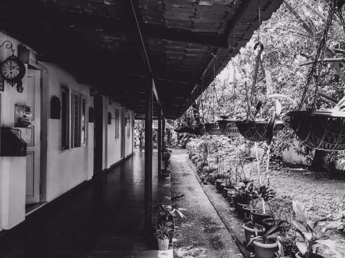 Bed & Breakfast Palm Grove Service Villa