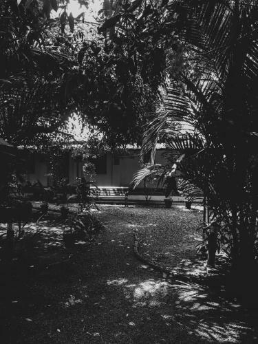 Bed & Breakfast Palm Grove Service Villa