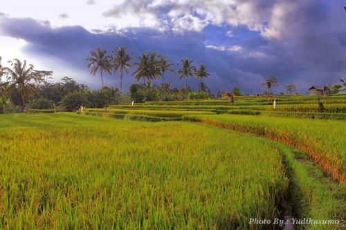 Tetirah Boutique Hotel