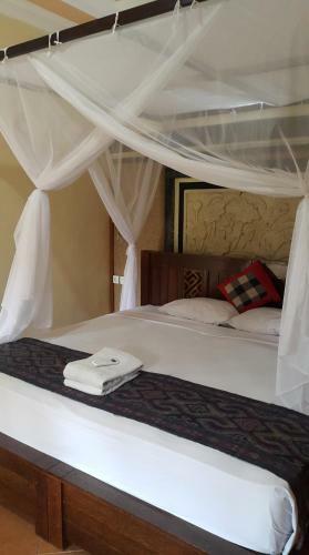 Bed & Breakfast D & D Dive Center Pemuteran