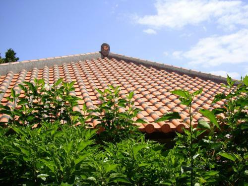 Agroturismo Resort Life Kabira