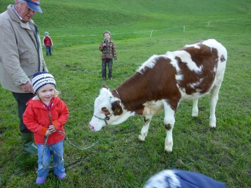 Agroturismo Matzenhof