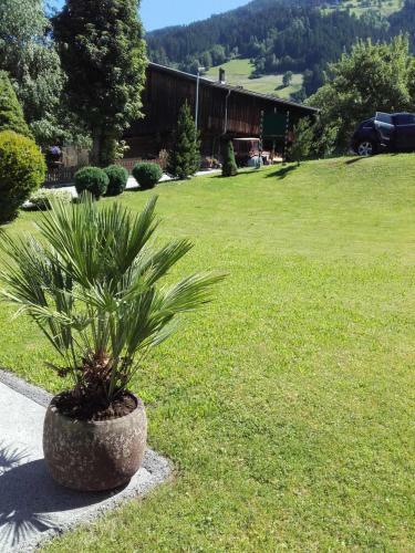 Apartamento Appart-haus Carola