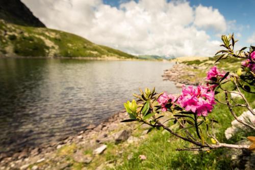 Apartamento Appartementhaus Gastein