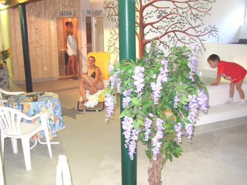 Hostal Pension Holzknechthof Am See