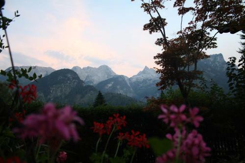 Apartamento Appartements Millinger