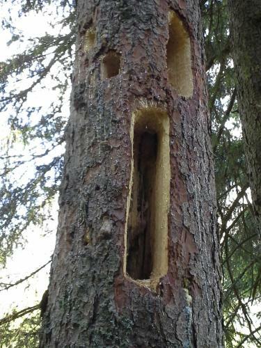 Apartamento Appartement Ewald Siller