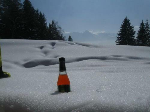 Apartamento Landhaus Tirol