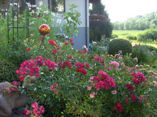 Apartamento Ferienhaus Sonnh�gel - Stissen