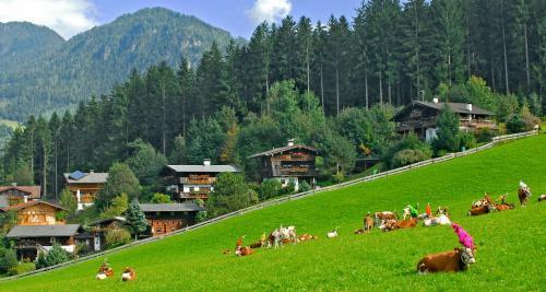 Apartamento Ferienh�user Reither Almen