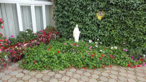 Hostal Guest House Zarko & Mara