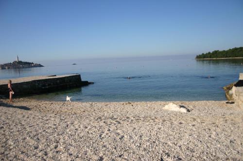 Two-bedroom Apartment In Rovinj/istrien 11571