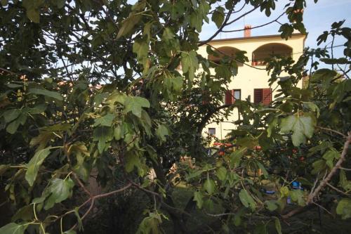 Apartments With A Parking Space Novigrad - 7120