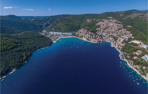 Holiday Home Reburici I