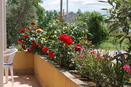 Apartments With A Parking Space Punat (krk) - 5350