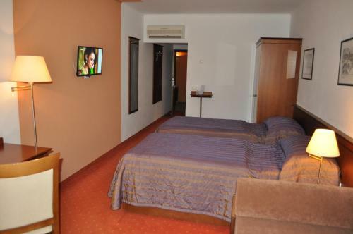 Hostal Penzion Diana