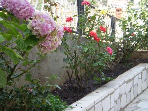 Hostal Guest House Marica