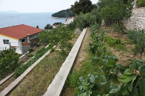 Apartment Drvenik Gornja Vala 4890a