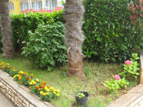 Apartamentos House Helena