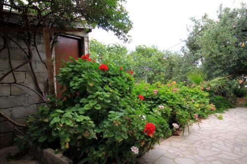 Apartment Zavala 593a