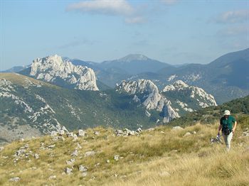 Bed & Breakfast Turist Grabovac