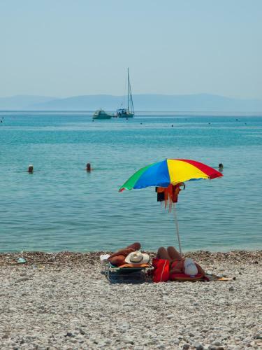 Hotel Narcis - Maslinica Hotels & Resorts
