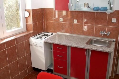 Apartments With A Parking Space Gradac (Makarska) - 5198