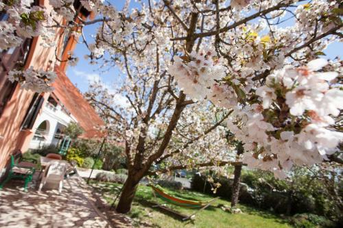 Apartment Relax