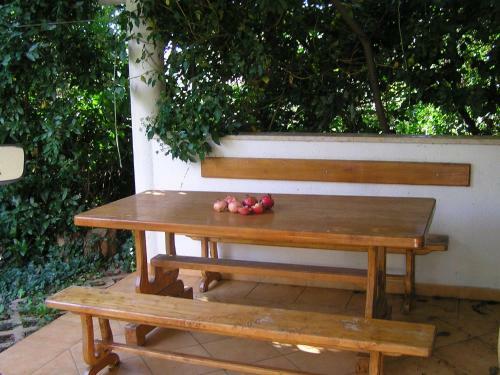 Apartments Paloma Blanca