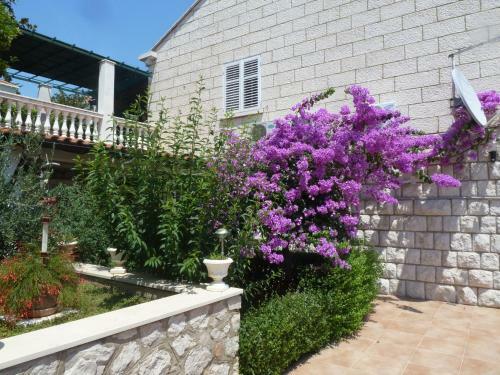 Apartamentos Villa Timy