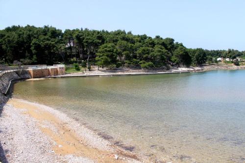 Apartamentos Studio Jelsa 8789a