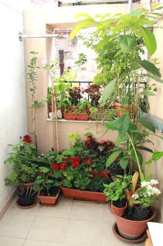 Apartment Bucevic
