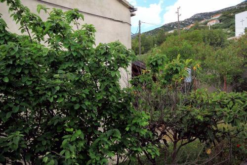 Apartamentos Studio Zavala 593a