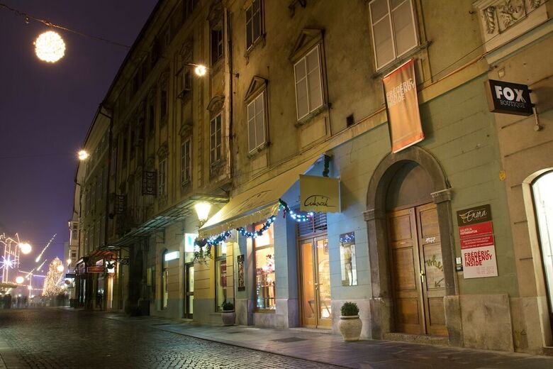 Bed & Breakfast Urban Homy Ljubljana