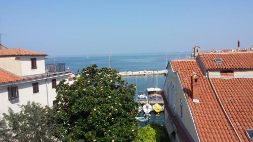 Hostal Piranika