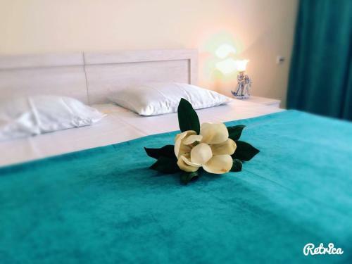 Hostal Holiday House Green Cape Batumi
