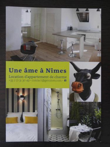 Apartamento Une �me � N�mes : Esprit Mazet