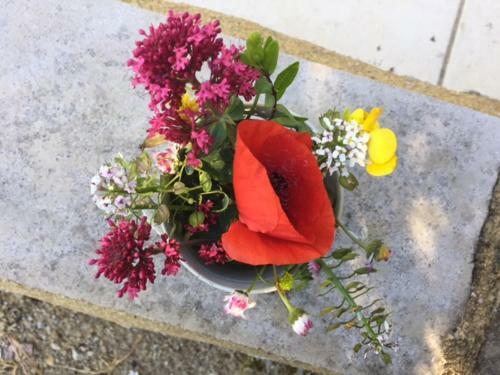 Bed & Breakfast Bergerie De Lagarrigue
