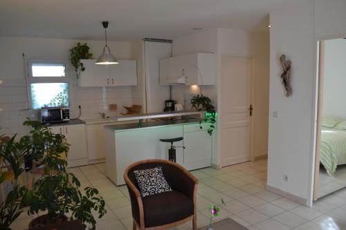 Apartamentos Colombet Stay's - Rue Pitot