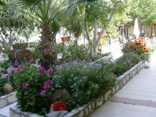 Hostal Villa Costas - Popi
