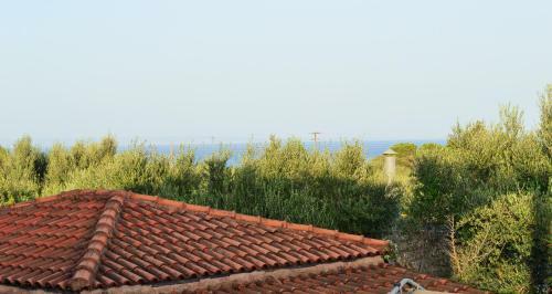 Brigitta Apartments