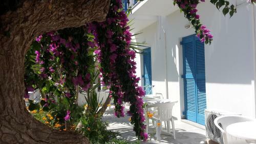 Hostal Pension Piertzovani