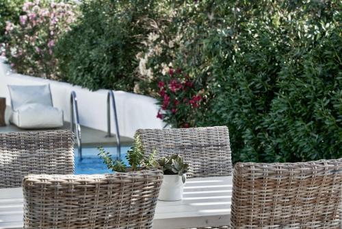 Naxian Utopia | Luxury Villas & Suites
