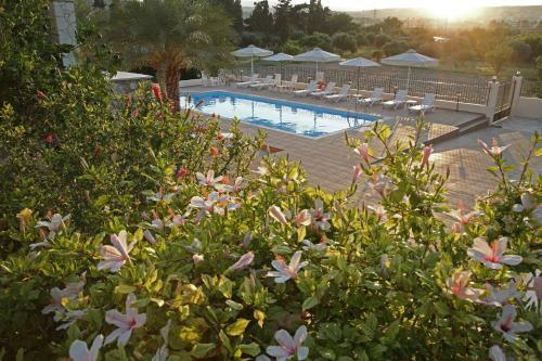 Elaia Villas