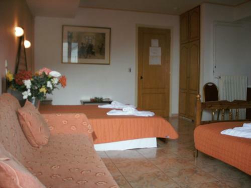 Aiolos Hotel Delphi