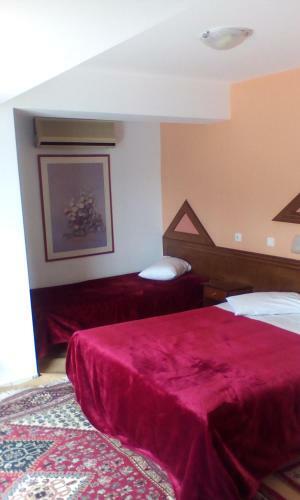 Aiolos Hotel Delphi