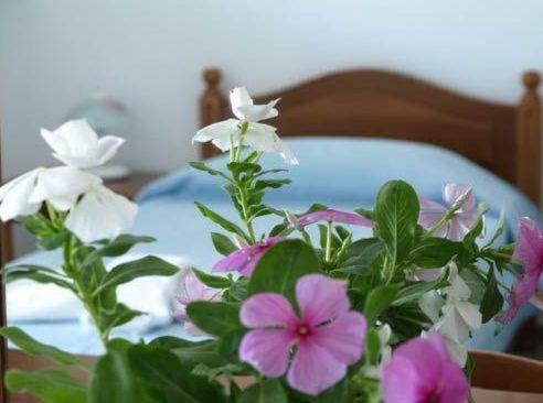 Aparthotel Hotel Zeus