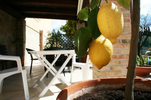Villa Mara B&B